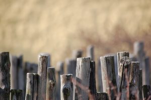 fences-640x480-61455071.jpeg