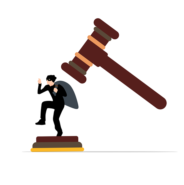 law, legal, car
