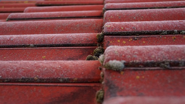 roofing, roofer