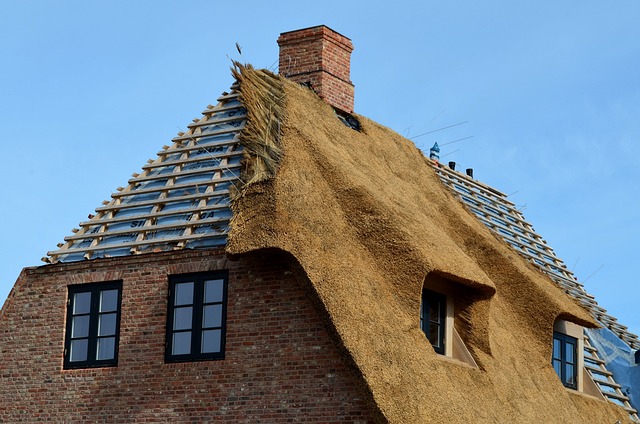 roofing, roofer