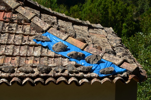 roofing-roofer-640x480-42684783.jpeg