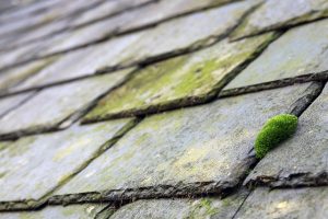 roofing-roofer-640x480-45440407.jpeg