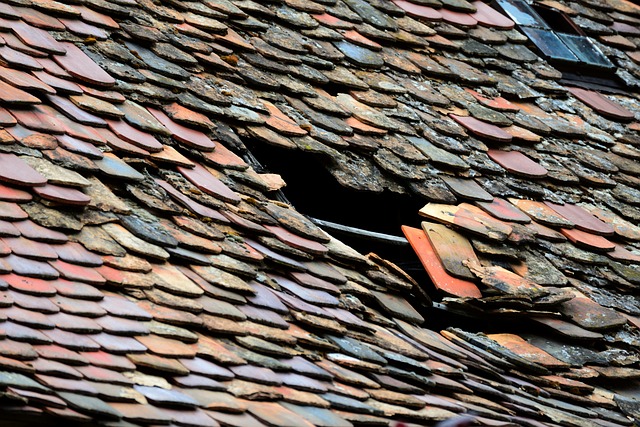 roofing, roofer