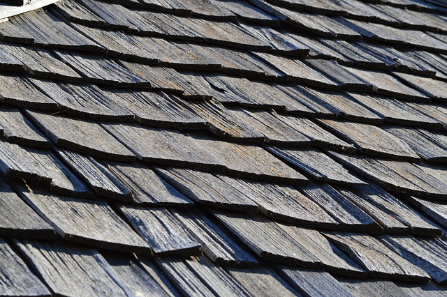 roofing, roofer