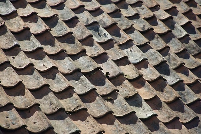 roofing, roofer