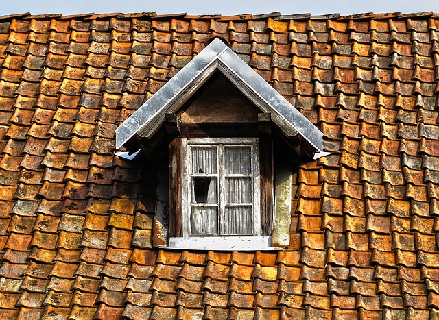 roofing-roofer-640x480-7835776.jpeg