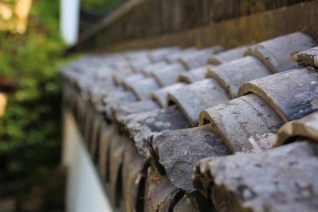 roofing, roofer