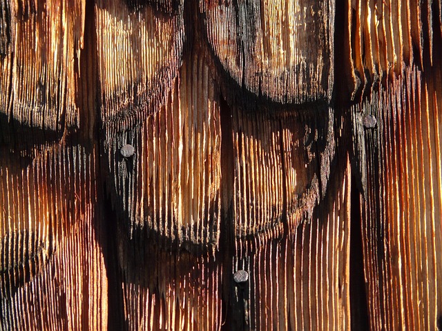 roofing-roofer-640x480-93100577.jpeg