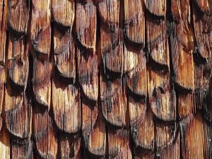 roofing-roofer-640x480-97714370.jpeg