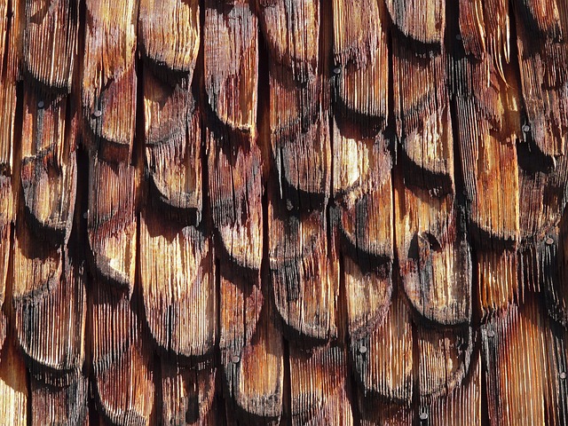 roofing-roofer-640x480-97714370.jpeg