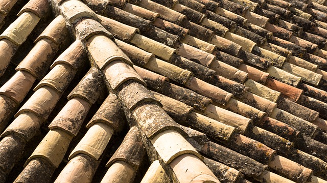 roofing, roofers