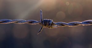 fences-640x480-10831018.jpeg