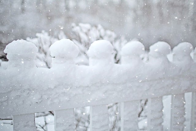 fences