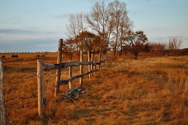 fences