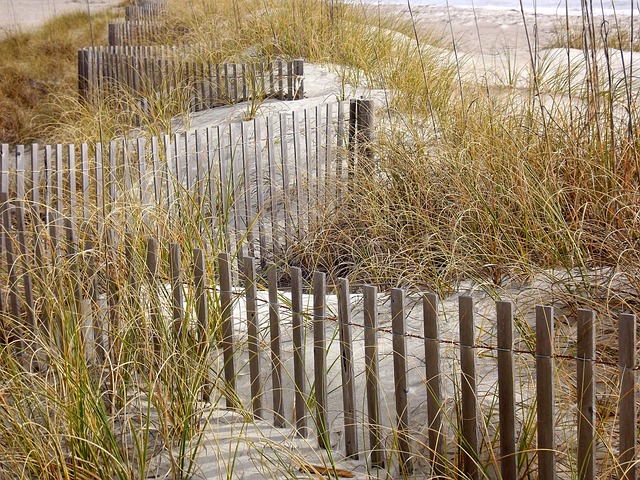 fences