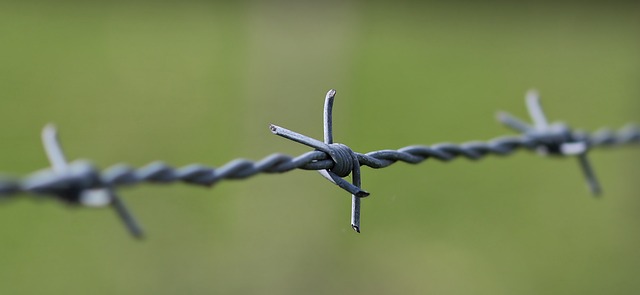 fences