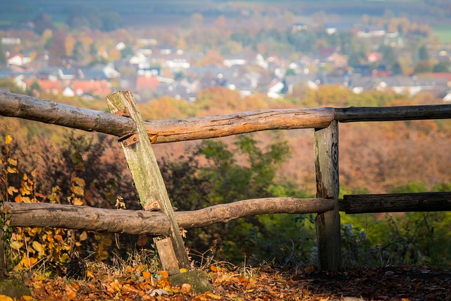 fences-640x480-3936140.jpeg