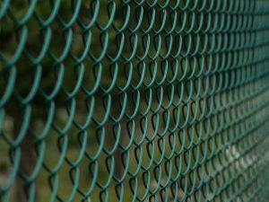 fences-640x480-46628626.jpeg