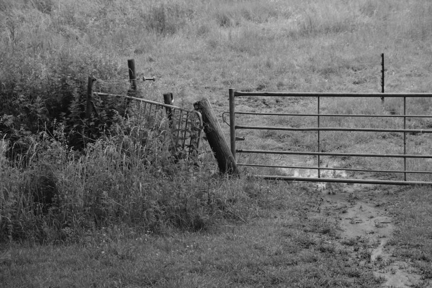 fences-640x480-48330260.jpeg