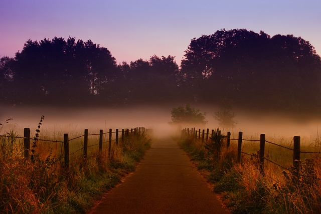 fences