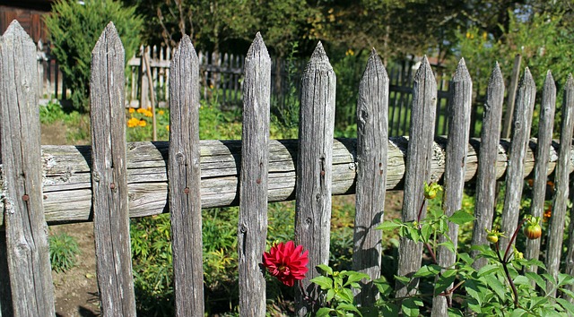 fences-640x480-52628381.jpeg