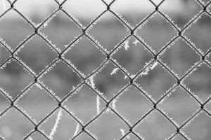 fences-640x480-70698630.jpeg