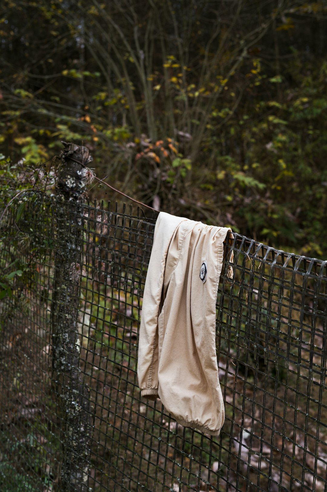 fences