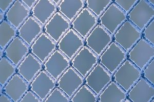 fences-640x480-8227556.jpeg