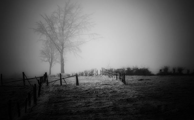 fences