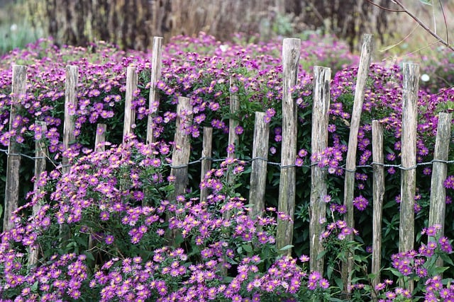 fences