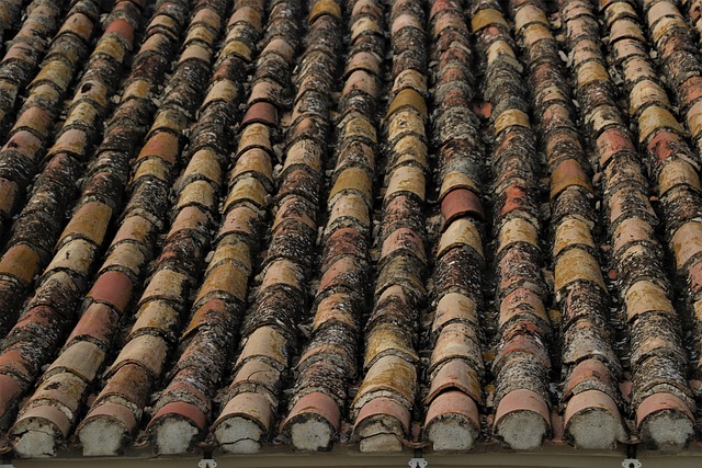 roofing, roofer