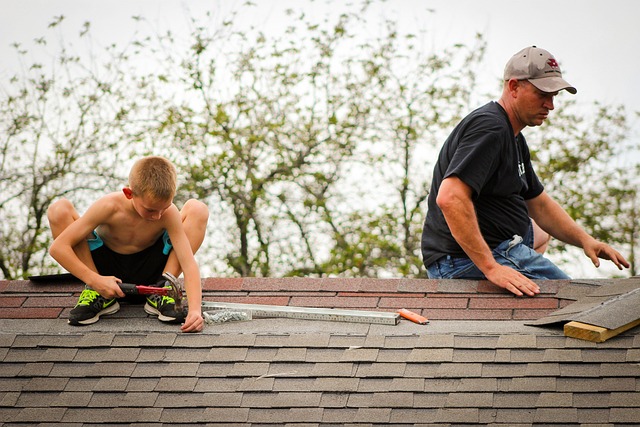 roofing, roofer