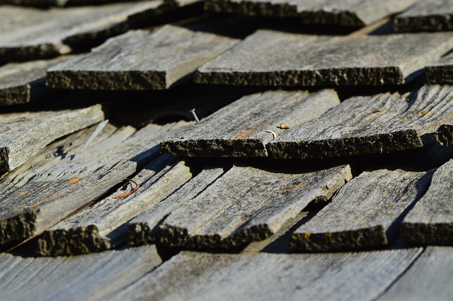 roofing-roofer-640x480-20942701.jpeg