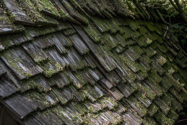 Optimize Roof Drainage: Dallas Roofer’s Guide to Gutter Repairs & Replacement