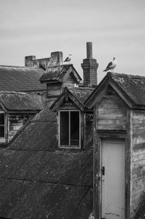 roofing-roofer-640x480-25508423.jpeg