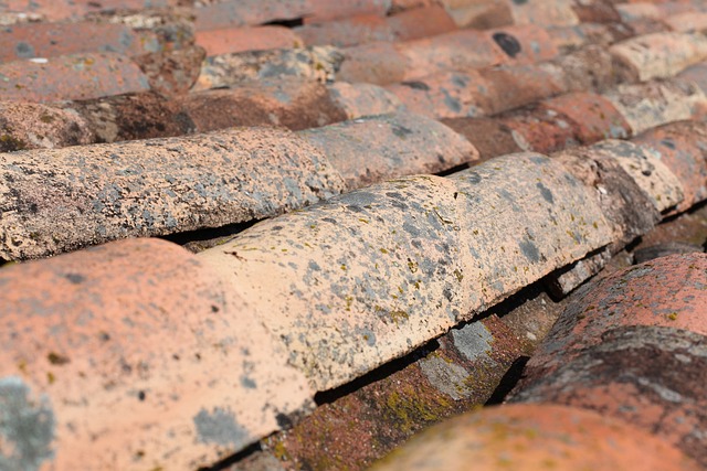 roofing, roofer