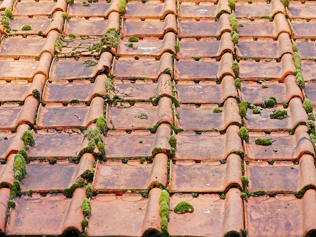 roofing, roofer