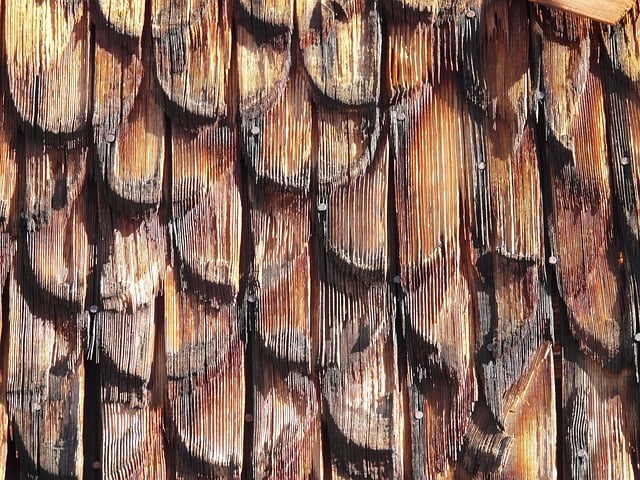 roofing, roofer
