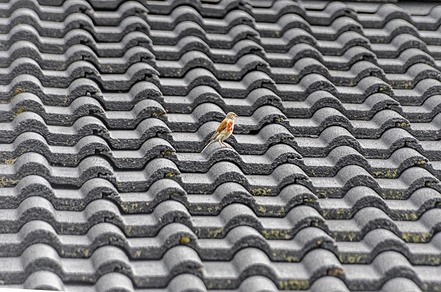 roofing, roofer