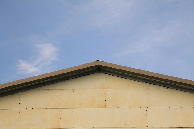 Houston Roofers: Mastering Leak Detection & Waterproofing Solutions