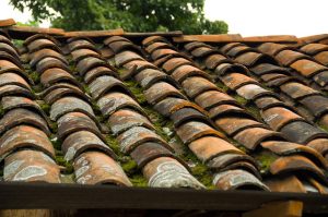 roofing-roofer-640x480-81132781.jpeg