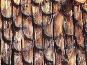 roofing-roofer-640x480-82370211.jpeg