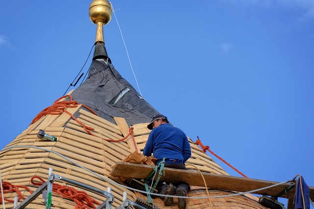roofing, roofer