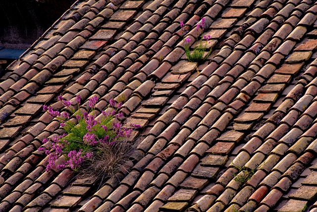 roofing, roofer