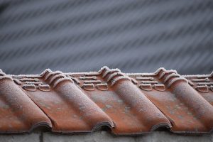 roofing-roofer-640x480-95119298.jpeg
