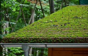 roofing-roofers-640x480-92335933.jpeg