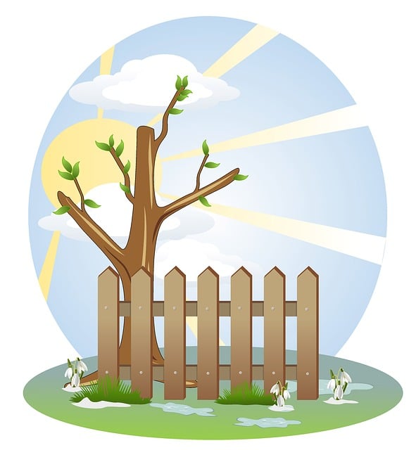 fences-640x480-19816807.jpeg