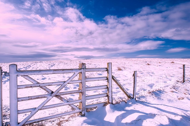 fences