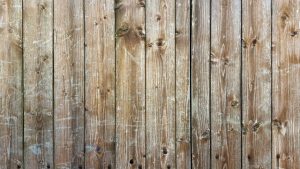 fences-640x480-8100399.jpeg