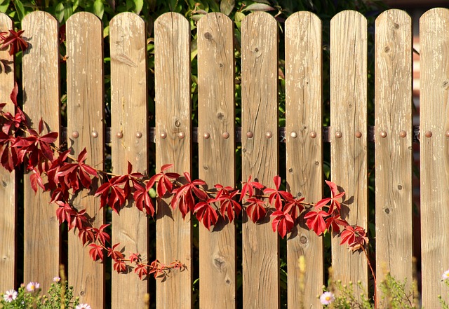 fences